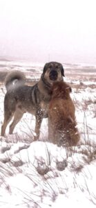 This image has an empty alt attribute; its file name is IMG_8313-edited.jpg